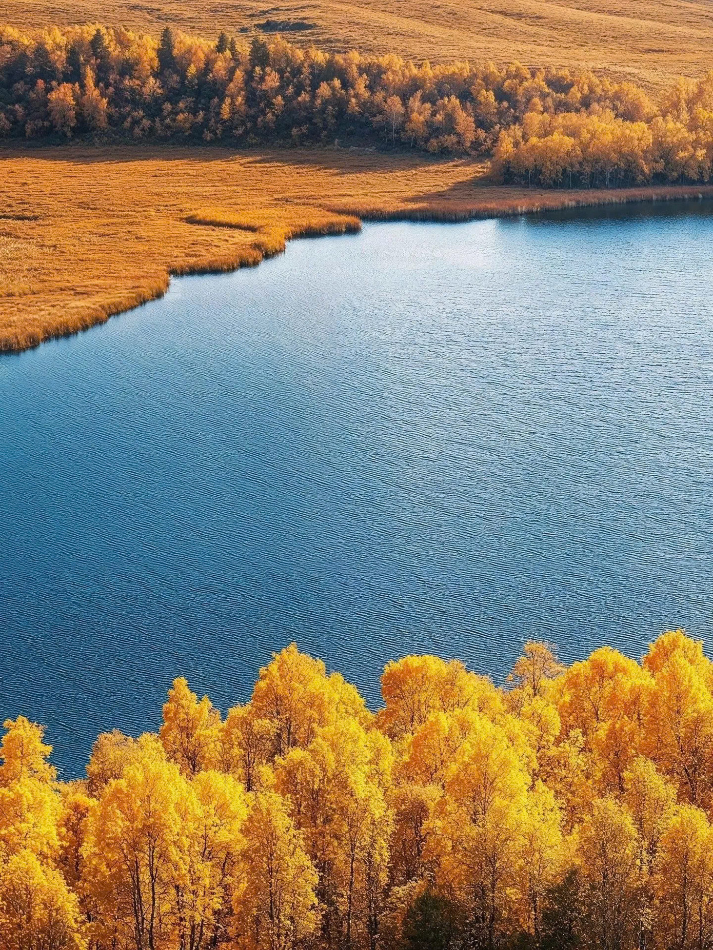 Sau khi các hình ảnh và video về mùa thu ở dãy Đại Hưng An Lĩnh xuất hiện trên các nền tảng mạng xã hội của Trung Quốc và thế giới, đã nhận được hàng trăm triệu lượt yêu thích vì vẻ đẹp siêu thực như chốn thần tiên nơi hạ giới.