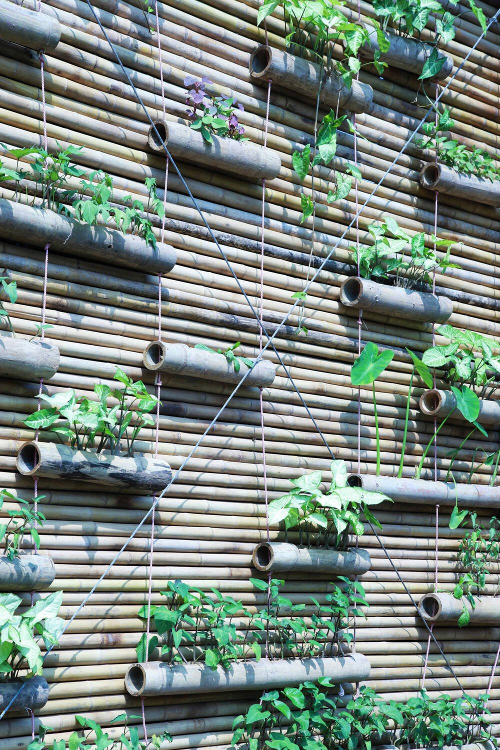 Các thanh tre được chọn và xử lý để có thể làm thành tường, sàn hay nội thất.