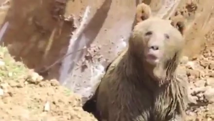 Video 'hot': Trộm gần 40kg vàng táo tợn giữa ban ngày ảnh 4