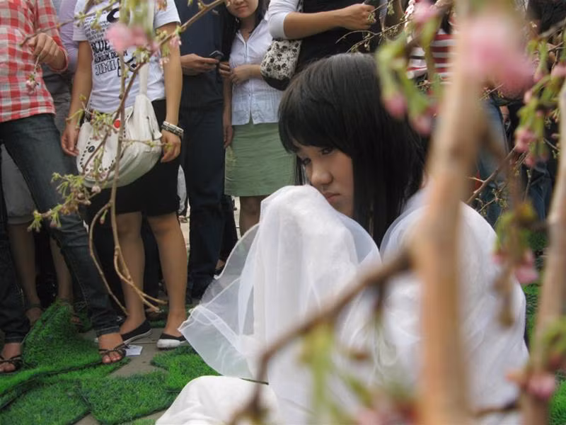 Thiếu nữ bên hoa anh đào