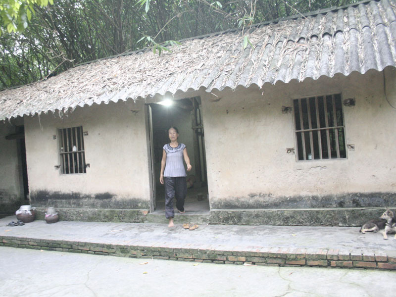 Ngôi nhà tồi tàn của vợ chồng ông Bé trong vườn cò