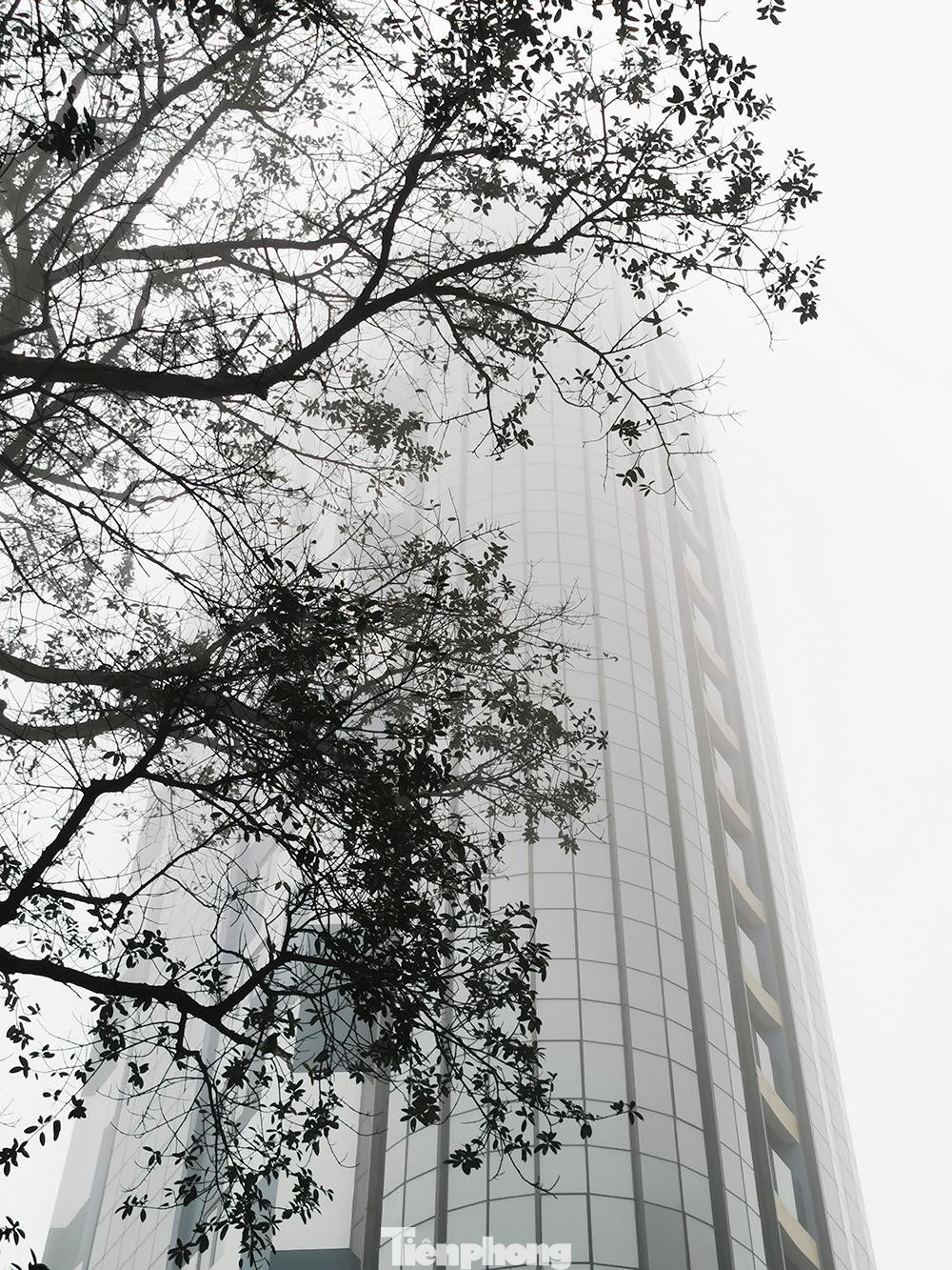 Các tòa nhà cao tầng ẩn hiện trong làn sương trắng.