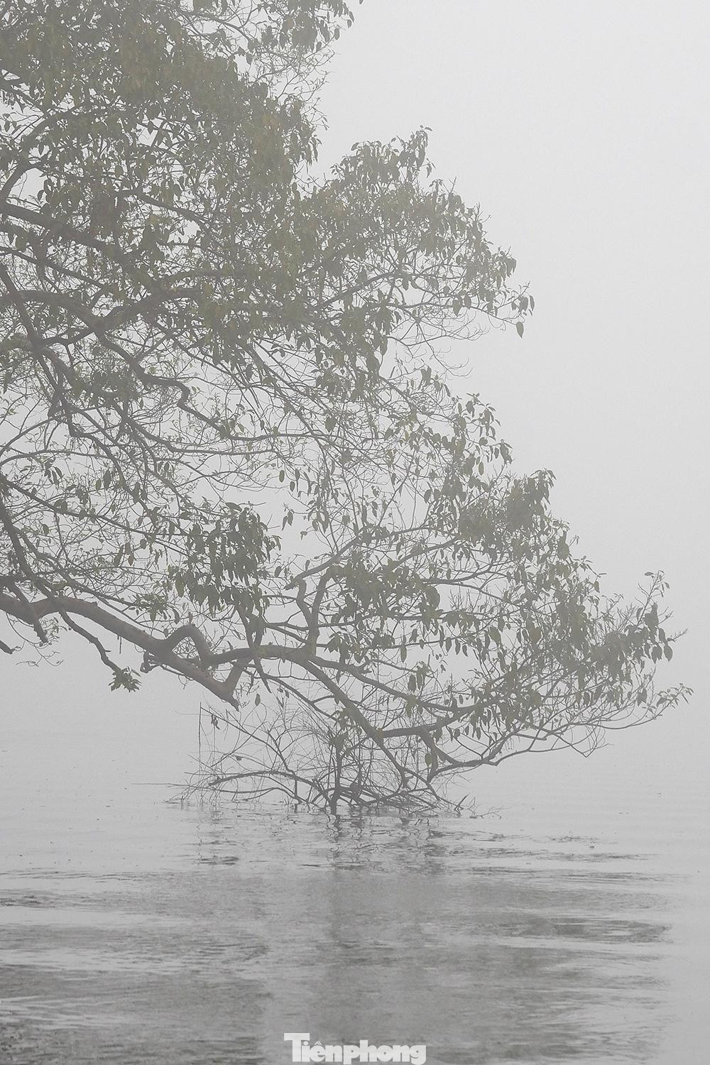 Một góc Hồ Hoàn Kiếm với bóng cây rủ mờ ảo trên mặt hồ.