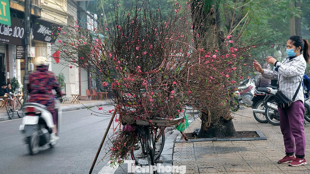 Những xe đào Tết vẫn xuất hiện trên nhiều tuyến phố Hà Nội phục vụ người dân sắm chơi Xuân.