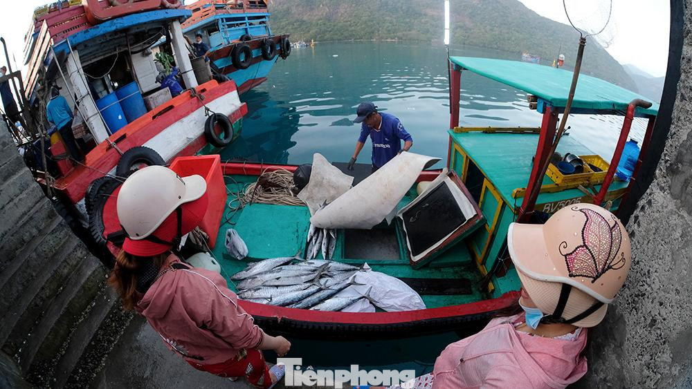 Một chiếc thuyền câu của gia đình nhà chị Giàu "thắng lớn" sau 2 ngày ra khơi câu cá.