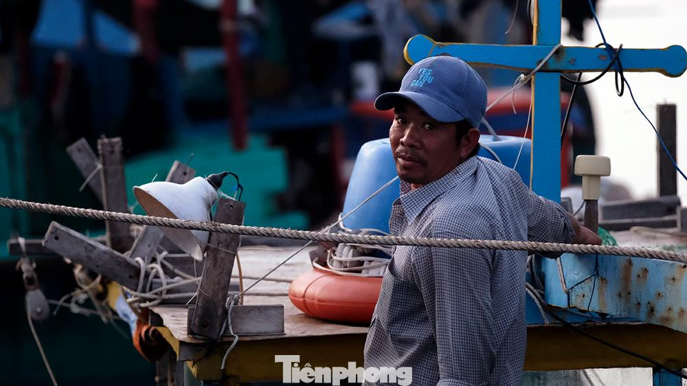 Phần lớn số lượng tàu này xuất phát từ Cảng Trần Đề, tỉnh Sóc Trăng.