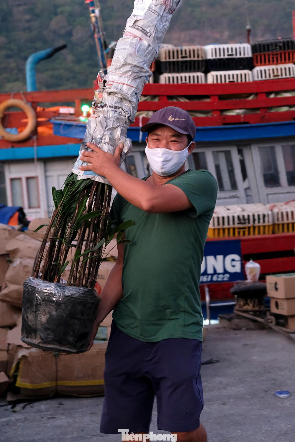 Một người dân Côn Đảo vui mừng khi nhận được khóm mây giống