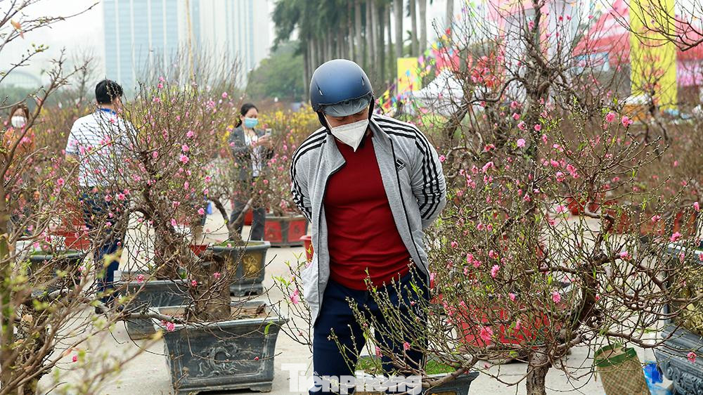 Nhiều khách hàng thấy cây hoa đẹp chỉ vào ngắm nghía rồi ra về.