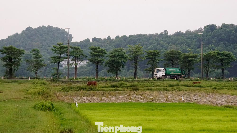 Vào tháng 7/2019, hàng cây hoa sữa dọc phố Trích Sài (phường Bưởi, quận Tây Hồ) được di chuyển và trồng tại khu xử lý rác thải Nam Sơn (huyện Sóc Sơn, Hà Nội) Vào tháng 7/2019, hàng cây hoa sữa dọc phố Trích Sài (phường Bưởi, quận Tây Hồ) được di chuyển và trồng tại khu xử lý rác thải Nam Sơn (huyện Sóc Sơn, Hà Nội)