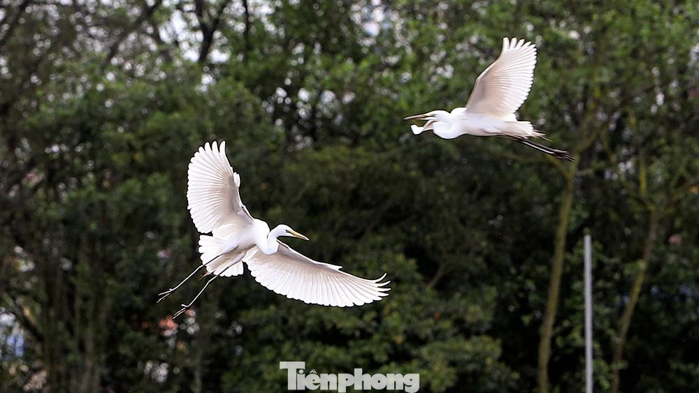 Đây là sân thi đấu Giải Vô địch Golf Quốc gia 2022 - Cúp VinFast do Tổng cục Thể dục Thể thao, Hiệp hội Golf Việt Nam, báo Tiền Phong và UBND TP Hải Phòng phối hợp tổ chức từ ngày 19 đến ngày 24/4.