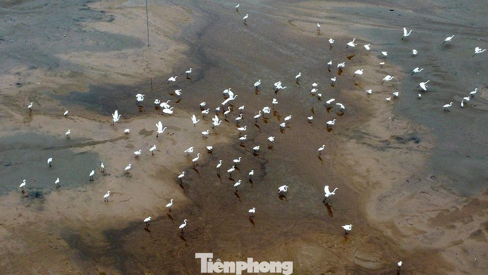 Nằm trên đảo Vũ Yên (TP Hải Phòng), sân Vinpearl Golf sở hữu 36 hố với 2 sân thi đấu riêng biệt (18 hố sân hồ, 18 hố sân đầm lầy) sẽ giúp các golfer trải nghiệm những cú đánh từ góc nhìn độc đáo hướng ra cảng Đình Vũ cũng như trung tâm thành phố cảng.