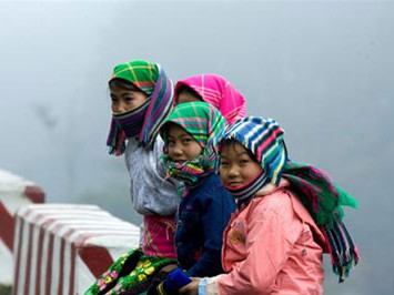 Ảnh: minh họa - Internet