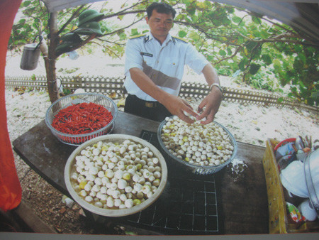 Ngày nghỉ bộ đội trồng rau, nuôi lợn, cải thiện bữa ăn của tác giả Ngọc Sơn - Bắc Ninh