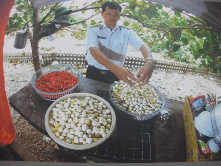 Ngày nghỉ bộ đội trồng rau, nuôi lợn, cải thiện bữa ăn của tác giả Ngọc Sơn - Bắc Ninh