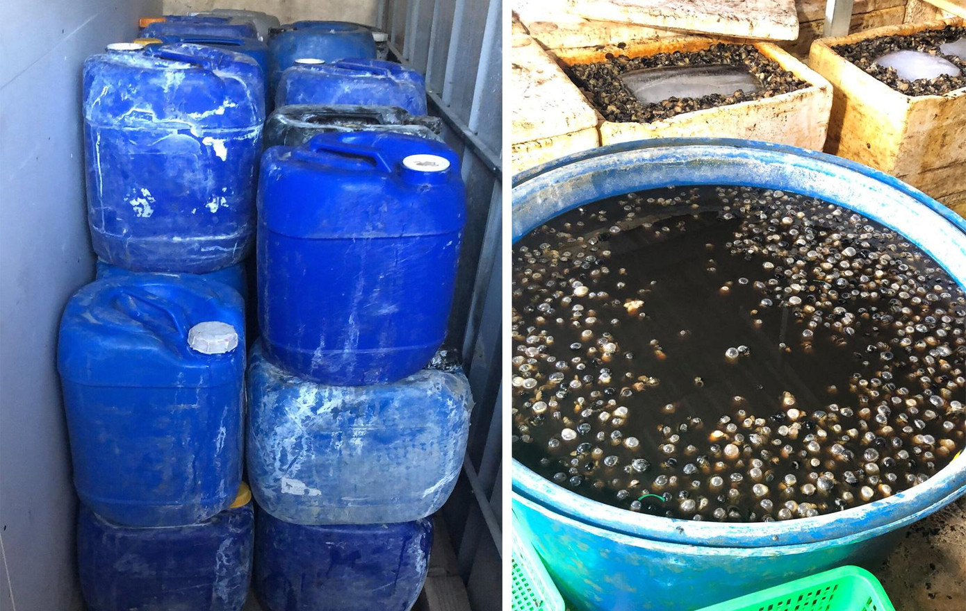 Hóa chất ngâm ốc không rõ nguồn gốc được mua ở chợ Kim Biên.