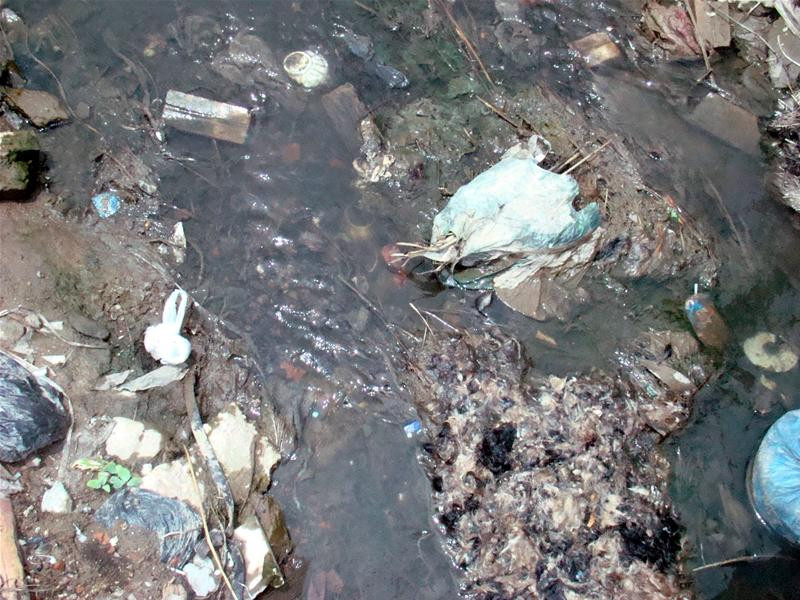 Lông chó bừa bãi ở cống công cộng Ruồi nhặng bu đầy rác thải Xương chó đầy đường Lông chó chất đầy, chờ người đến chở đi