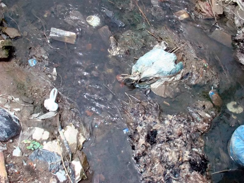 Lông chó bừa bãi ở cống công cộng Ruồi nhặng bu đầy rác thải Xương chó đầy đường Lông chó chất đầy, chờ người đến chở đi