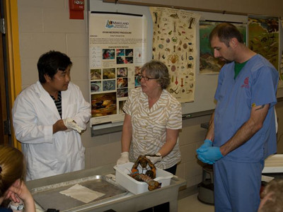 Trần Hữu Lộc (bên trái) trao đổi với các chuyên gia bệnh học của trường Đại học Cornell (Mỹ). Ảnh: Tâm Trần