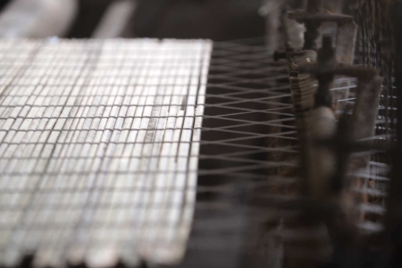 Một tấm mành cọ dần hình thành trên máy dệt, dưới bàn tay thao tác của người làm cọ Quảng Yên.