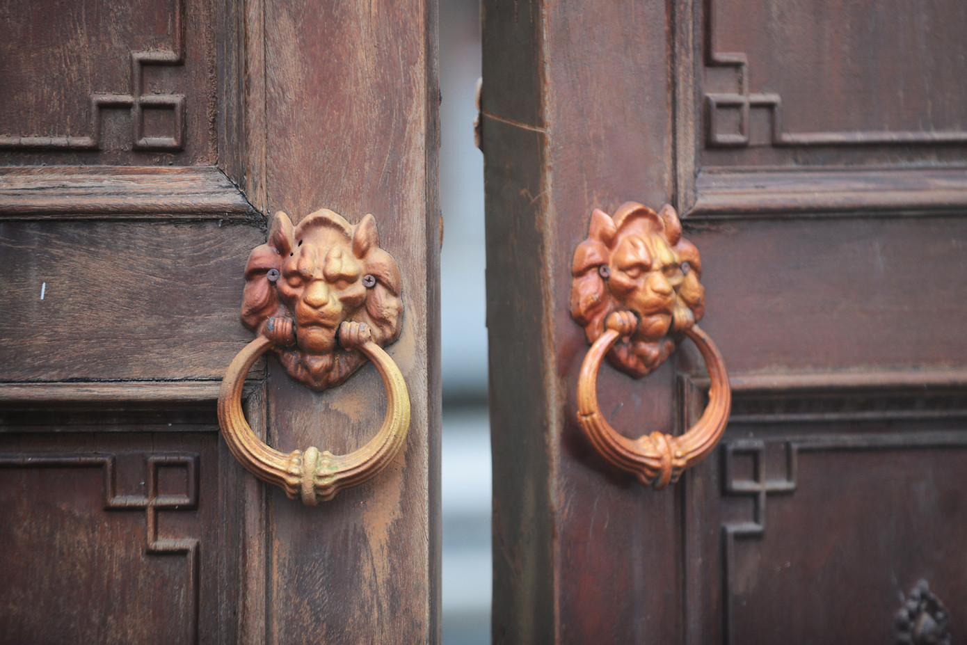 Cổng chùa luôn đóng, chỉ mở cho người có nhiệm vụ ra vào. Theo người dân sinh sống quanh chùa, hoả hoạn chỉ được phát hiện khi lửa bùng lên đến mái chính điện vào khoảng 10h30. Đến 12h, lực lượng PCCC khống chế được ngon lửa.