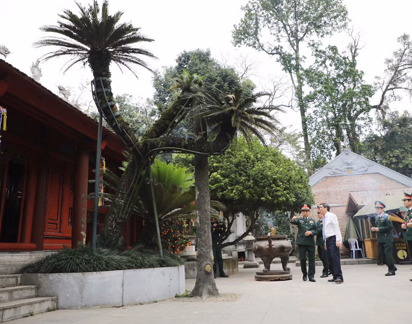 Đại tướng Phan Văn Giang và Bí thư Tỉnh uỷ Phú Thọ Bùi Minh Châu trò chuyện dưới tán cây vạn tuế nổi tiếng ở Đền Hùng. Ngày 19/9/1954, Chủ tịch Hồ Chí Minh về thăm Đền Hùng. Người đã ngồi dưới cây vạn tuế và nói chuyện với cán bộ, chiến sĩ Đại đoàn Quân Tiên Phong chuẩn bị về tiếp quản Thủ đô.