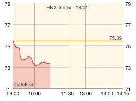 Nhà đầu tư tháo chạy, VnIndex mất hơn 17 điểm ảnh 2