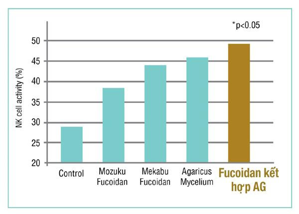 Hiệu quả của hợp chất Fucoidan kết hợp với sợi nấm Agaricus (Nguồn: Viện nghiên cứu Fucoidan NPO)