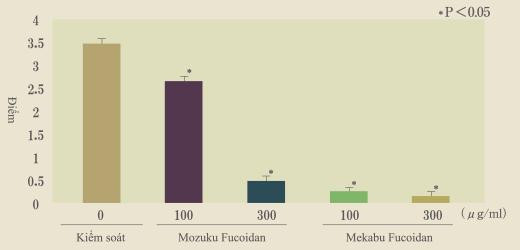 Sơ đồ: Hoạt động ức chế hình thành mạch máu mới chống lây lan các tế bào dị thường (Hội nghị thường niên lần thứ 8 của Hiệp hội Miễn dịch Tự nhiên tại Nhật Bản)