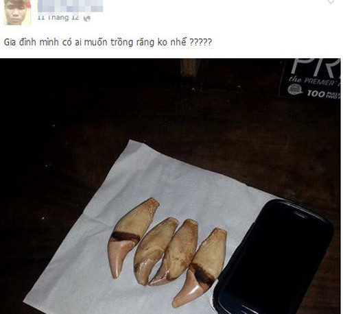 Thanh niên này còn rao bán cả răng gấu