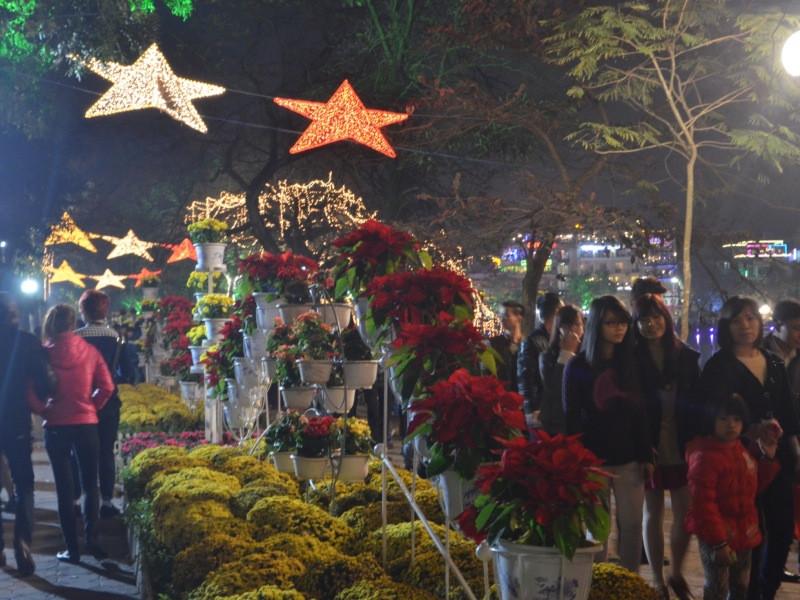 Chào Xuân Giáp Ngọ 2014 ảnh 12