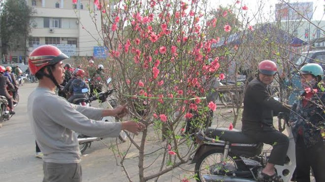 Chào Xuân Giáp Ngọ 2014 ảnh 51