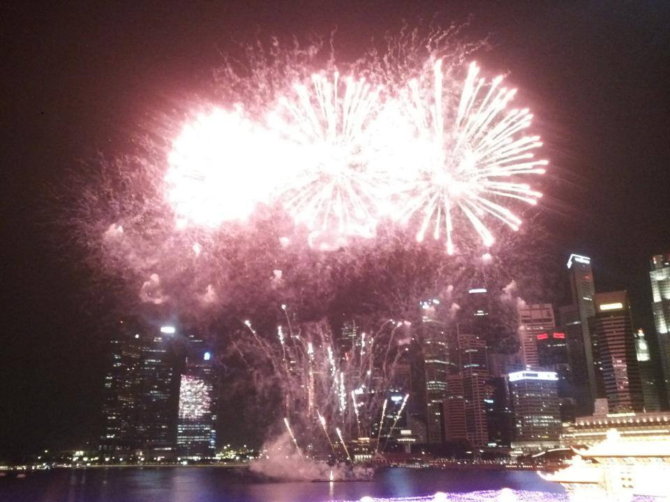 Chào Xuân Giáp Ngọ 2014 ảnh 20