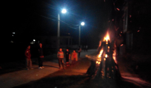 Chào Xuân Giáp Ngọ 2014 ảnh 10