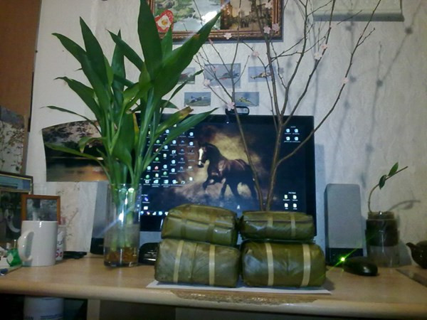 Chào Xuân Giáp Ngọ 2014 ảnh 42