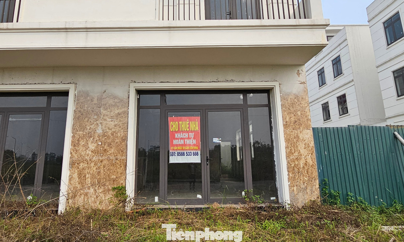Tại dự án cũng la liệt biển cho thuê nhà, bán nhà…