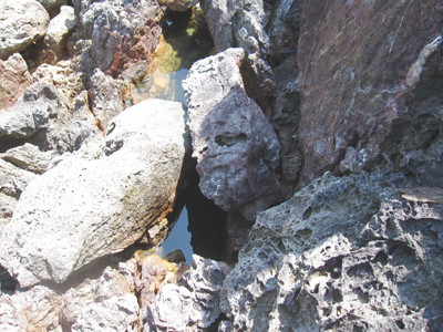  Giếng Tiên. Ảnh: Tùng Huyên