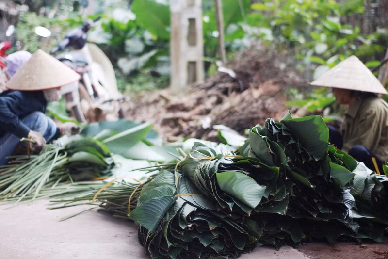 'Đột nhập' làng lá dong lớn nhất Hà thành vào giáp Tết ảnh 14