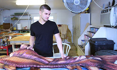 Những bộ đuôi cá của Eric.