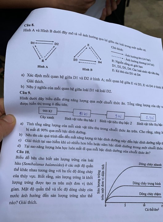 Đề Toán, Sinh chuyên vào lớp 10 trường Khoa học tự nhiên: Khó đạt điểm 9 ảnh 6
