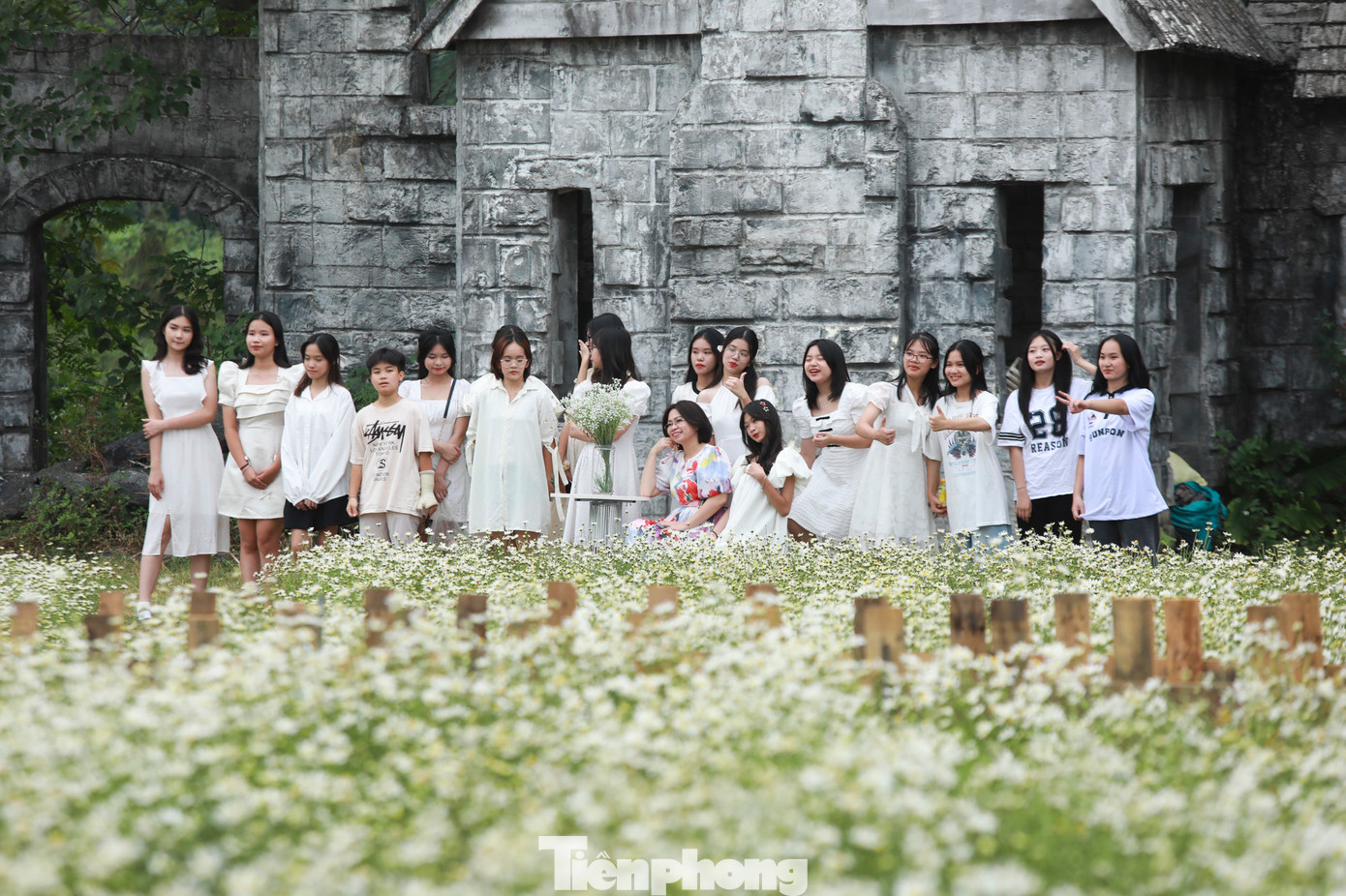 Bạn trẻ đua nhau chụp ảnh bên sắc trắng tinh khôi của cúc họa mi.