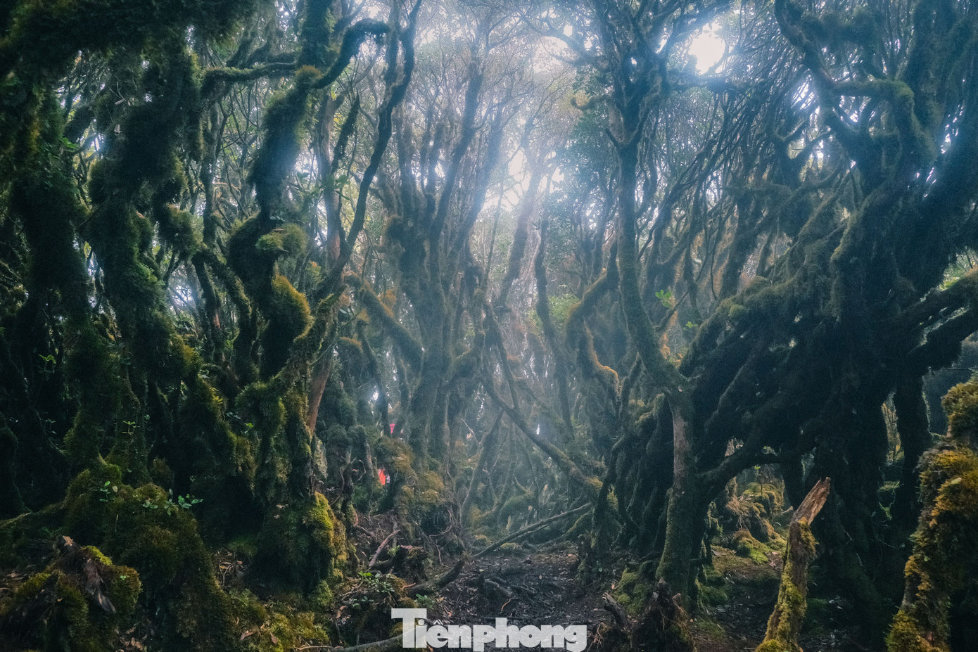 Tà Xùa là một xã vùng cao nơi giáp ranh của hai huyện Trạm Tấu và Bắc Yên một mảnh đất mang đến nhiều thương nhớ cho du khách tham quan. Con đường nối 2 huyện này đi qua Tà Xùa mới được khai thông từ năm 2011 vì thế đã trở thành cầu nối giữa các địa điểm tham quan. Kể từ đó các cung phượt, trekking đi Tà Xùa xuất hiện ngày càng nhiều.