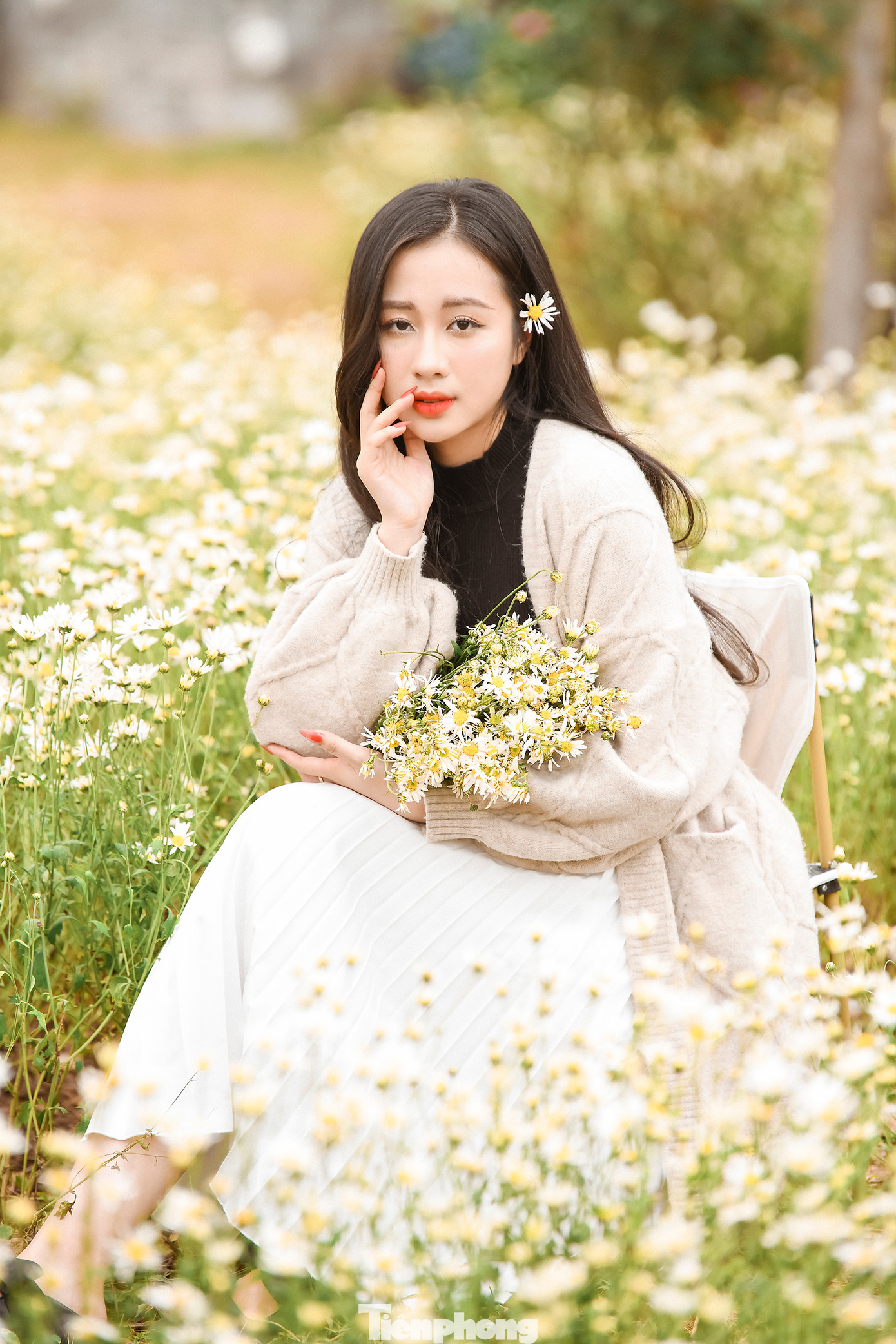 Chỉ cần trang phục đơn giản, thiếu nữ có thể thả dáng như "nàng thơ" bên cạnh cúc họa mi.