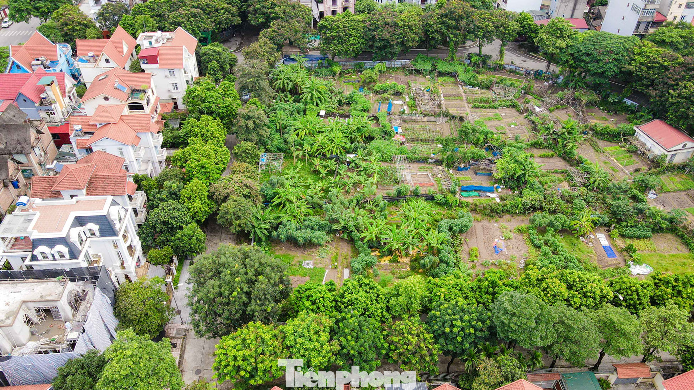 Ghi nhận của phóng viên, khu đất đang bỏ trống, được tận dụng thành nơi trồng rau của các hộ dân cư sinh sống tại khu vực đó.