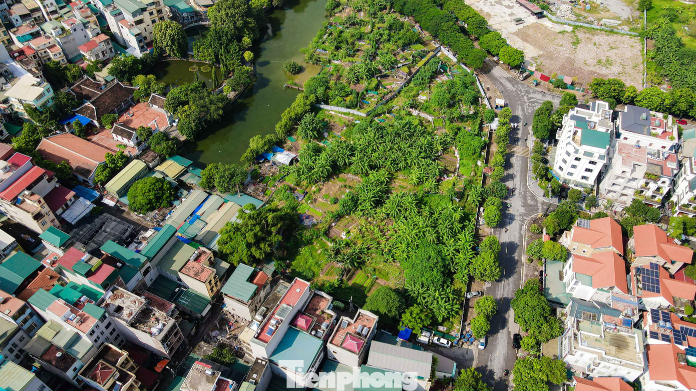 Ô đất có diện tích 1,1ha.