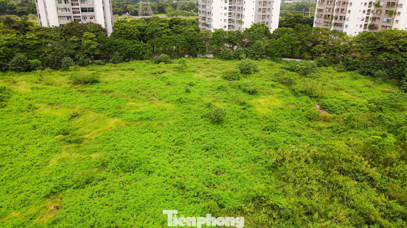 Ghi nhận của PV, hiện trạng khu đất đang được bỏ hoang, cỏ cây mọc um tùm trên khu đất.