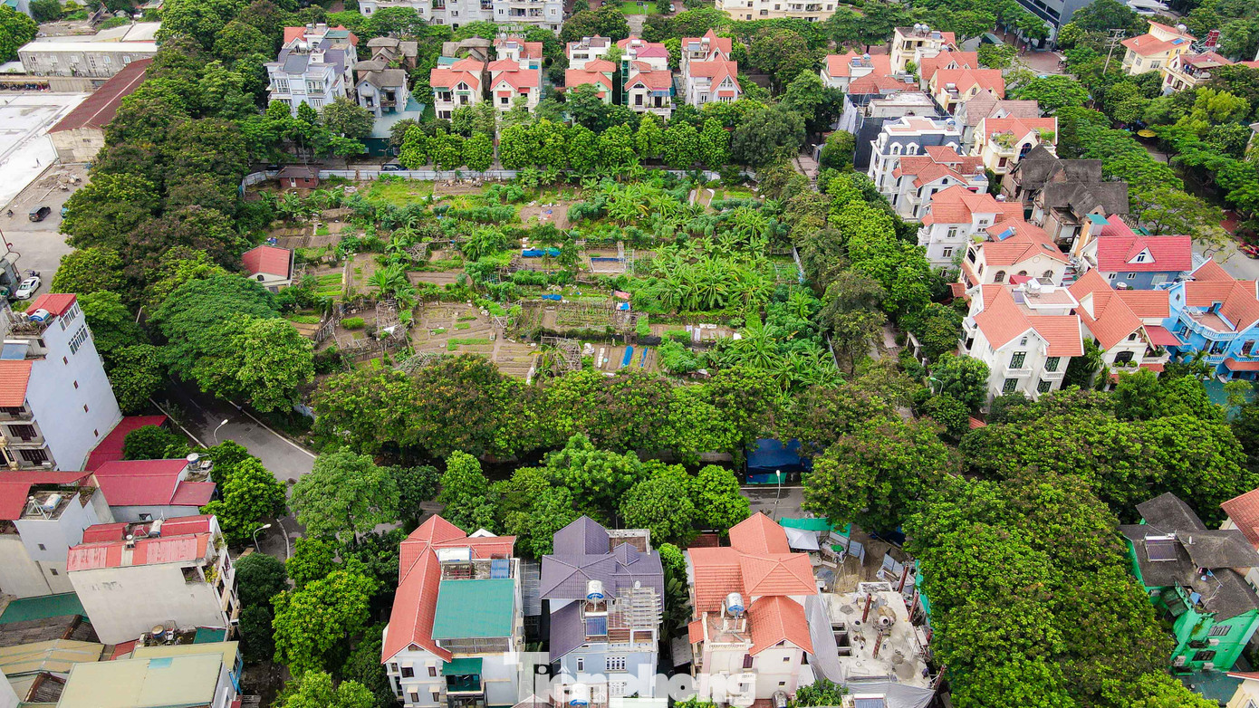 Được biết khu đất có diện tích khoảng 0,6ha, bao quanh 4 phía đều là khu nhà ở.