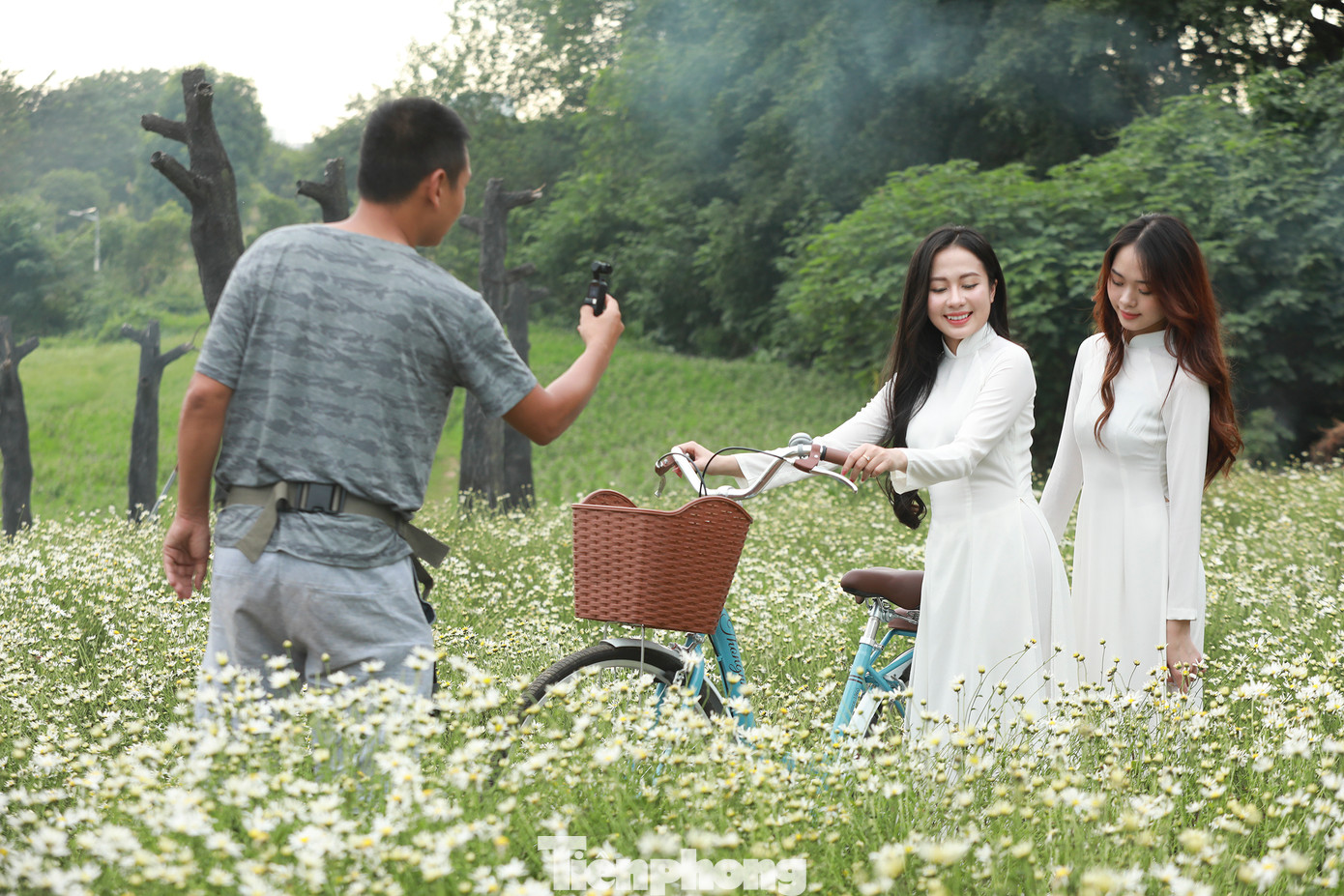 Thiếu nữ thướt tha trong tà áo dài trắng, tạo dáng với cúc họa mi.