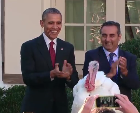 Obama đích thân tổ chức Lễ tạ ơn cùng cựu binh Mỹ ảnh 3