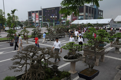 Lễ hội sinh vật cảnh lớn nhất Việt Nam tại Vinhomes Riverside ảnh 2