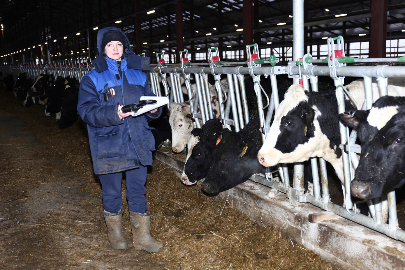 Bên trong trang trại bò sữa của Tập đoàn TH tại Kaluga